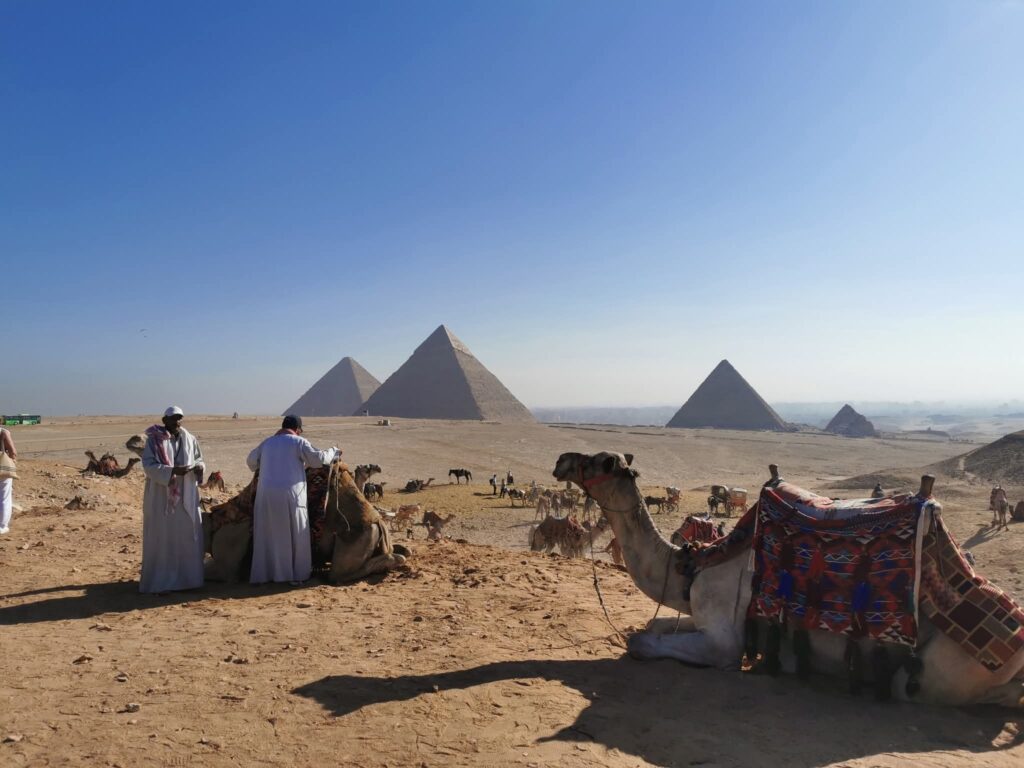 WhatsApp Image 2025-10-15 at 20.51.48_e3573b2d