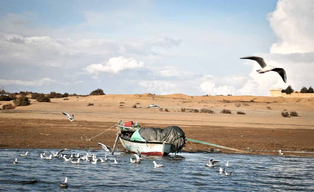 Wadi_Elrayan_-_Egypt