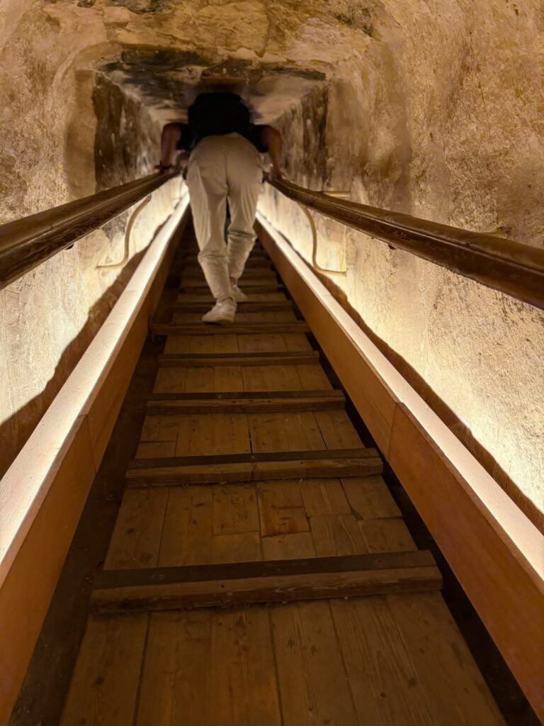 WhatsApp Image 2025-10-12 at 12.22.22_9cdacce5