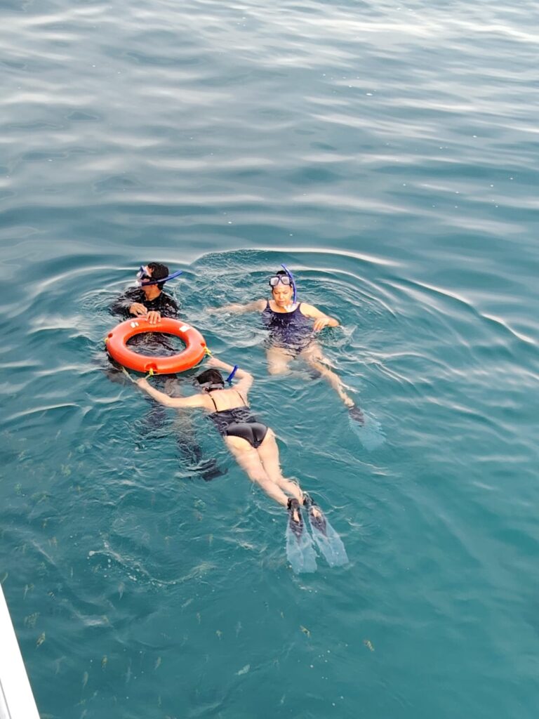 WhatsApp Image 2025-11-28 at 14.21.54_b5ef3ba8