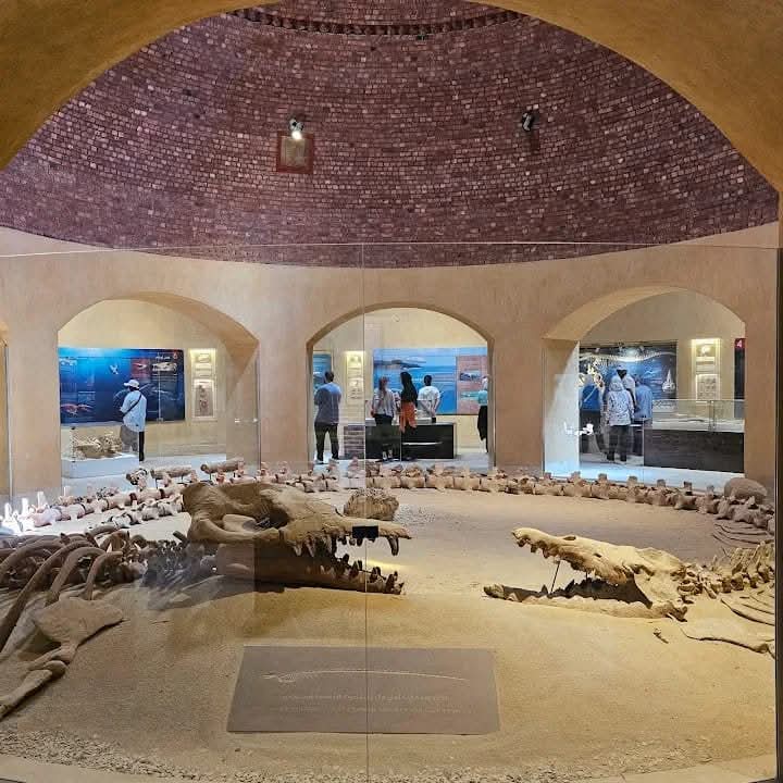 WhatsApp Image 2025-12-11 at 11.47.11_15500d16