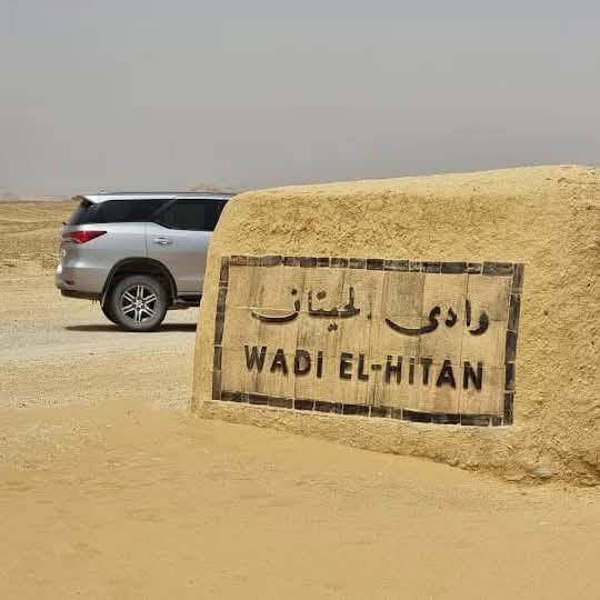 WhatsApp Image 2025-12-11 at 11.47.12_0d0a5ec3