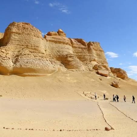 WhatsApp Image 2025-12-11 at 11.47.13_2da95100