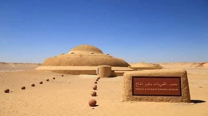 WhatsApp Image 2025-12-11 at 11.47.13_5dea4d57