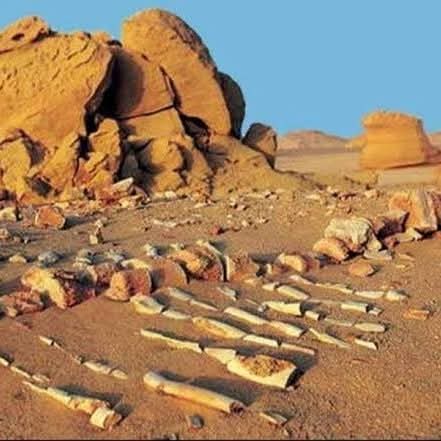 WhatsApp Image 2025-12-11 at 11.47.13_7ba2dee4