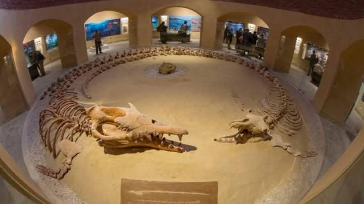 WhatsApp Image 2025-12-11 at 11.47.14_67cc0c71