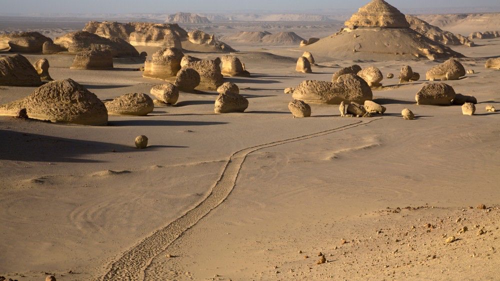 WhatsApp Image 2025-12-11 at 11.47.18_3be6a4c4