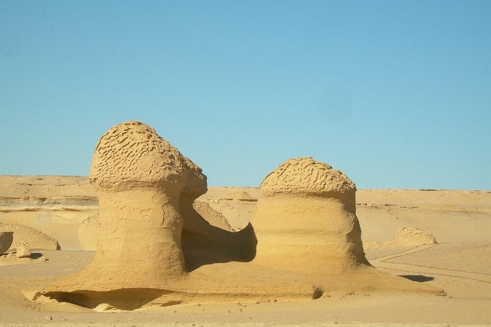 WhatsApp Image 2025-12-11 at 11.47.18_8e1602df