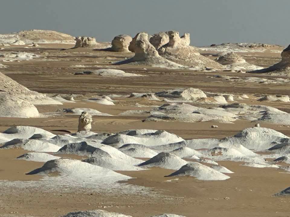 WhatsApp Image 2025-12-12 at 14.44.32_28c87253