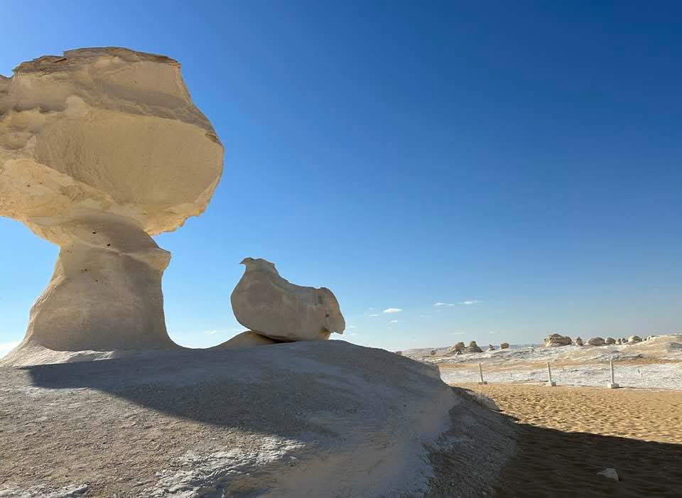 WhatsApp Image 2025-12-12 at 14.44.32_46589a86