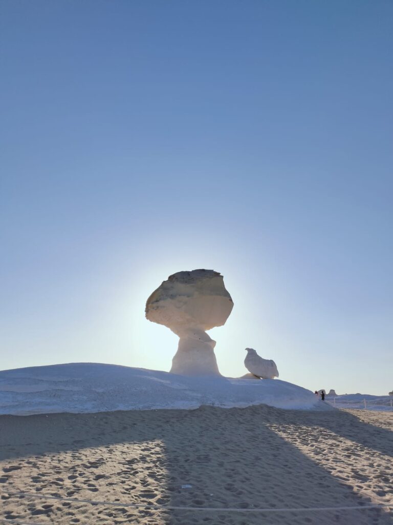 WhatsApp Image 2025-12-12 at 14.58.04_331147a6