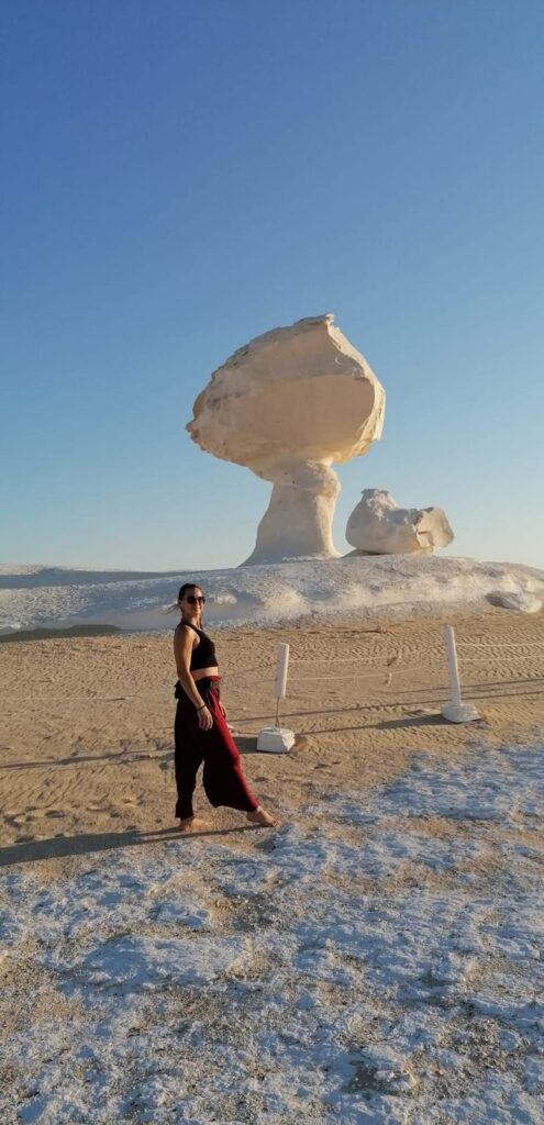 WhatsApp Image 2025-12-12 at 14.58.08_df1ef4da