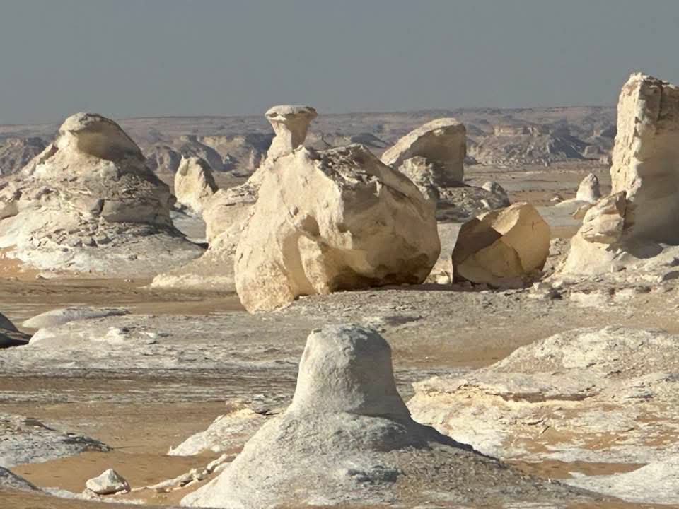 WhatsApp Image 2025-12-12 at 14.58.09_49025ca6