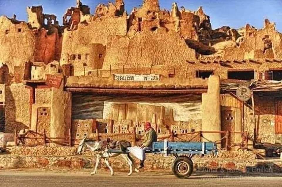 WhatsApp Image 2025-12-12 at 14.58.09_d319e06e