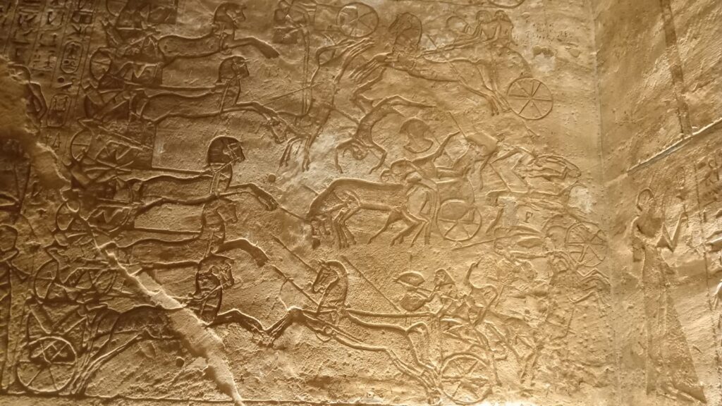 WhatsApp Image 2025-12-24 at 16.39.54_0622cd77