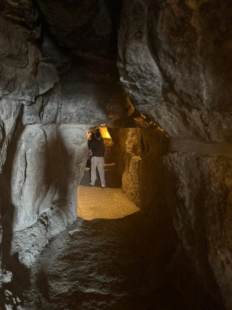 WhatsApp Image 2025-10-12 at 12.22.22_31295091