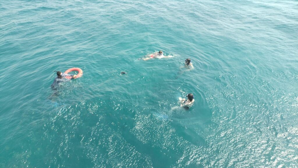 WhatsApp Image 2025-10-17 at 09.34.32_63e04cf2