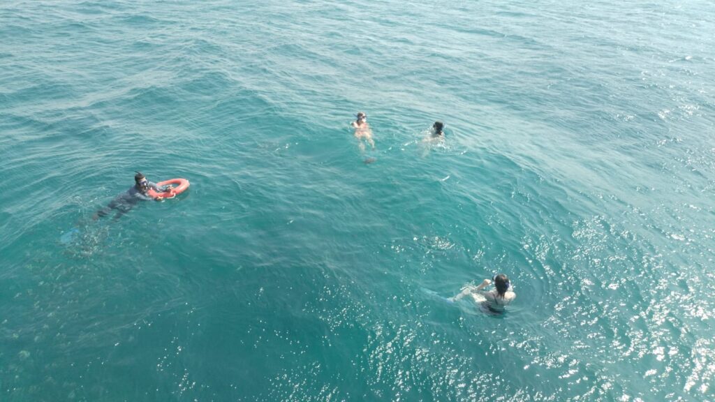 WhatsApp Image 2025-10-17 at 09.34.33_834bb6b5