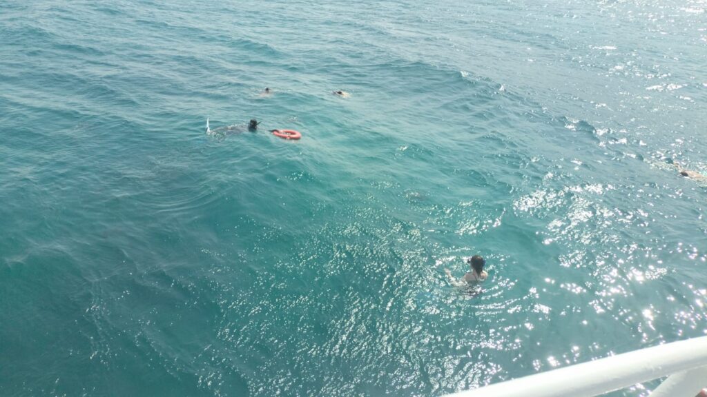 WhatsApp Image 2025-10-17 at 09.34.33_ac4fd92b