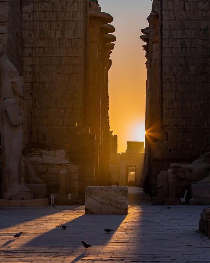 WhatsApp Image 2025-10-23 at 14.21.50_1967f335