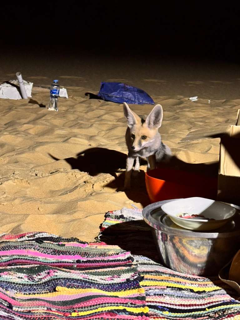 WhatsApp Image 2025-10-23 at 18.18.44_7cfb9fb1