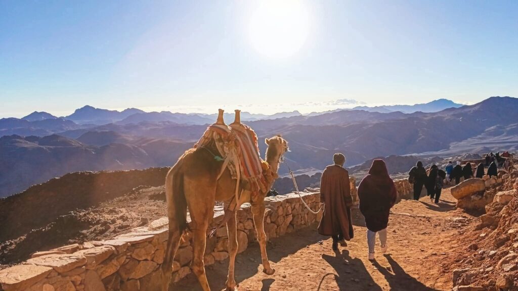 WhatsApp Image 2025-11-17 at 21.26.00_67fb260f