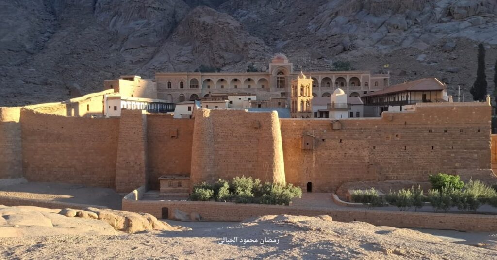 WhatsApp Image 2025-11-17 at 21.26.07_27600bed