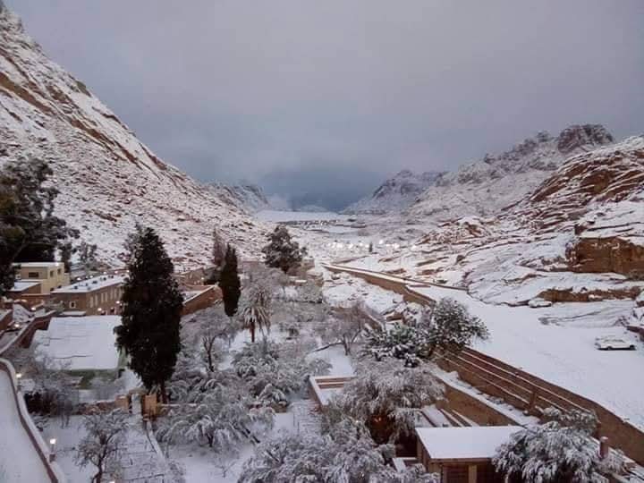 WhatsApp Image 2025-11-17 at 21.26.08_69a67768