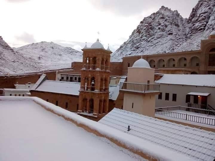 WhatsApp Image 2025-11-17 at 21.26.08_e5d239bd