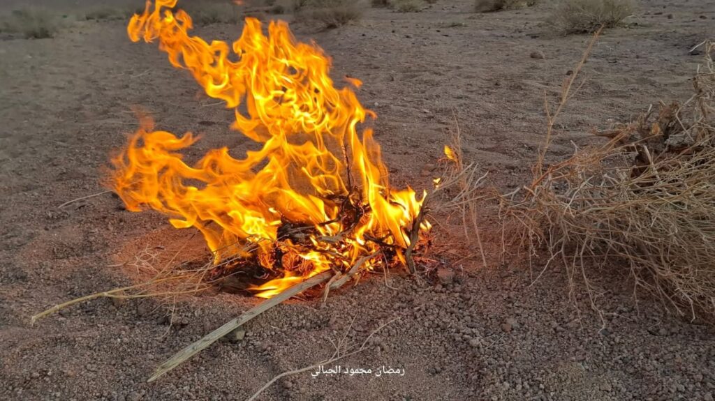 WhatsApp Image 2025-11-17 at 21.26.08_fcb2a8de