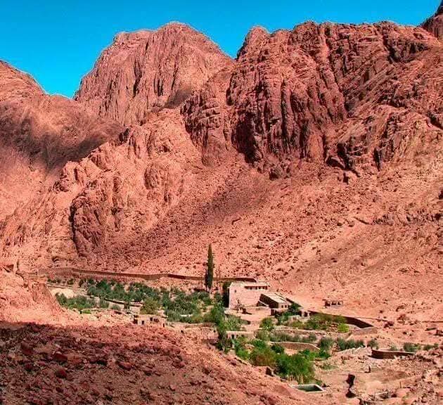 WhatsApp Image 2025-11-17 at 21.26.09_cc675169