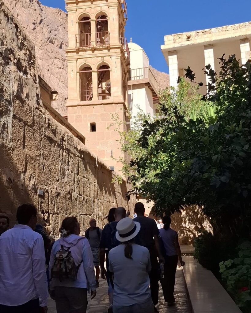 WhatsApp Image 2025-11-17 at 21.26.12_e9dfc1d8