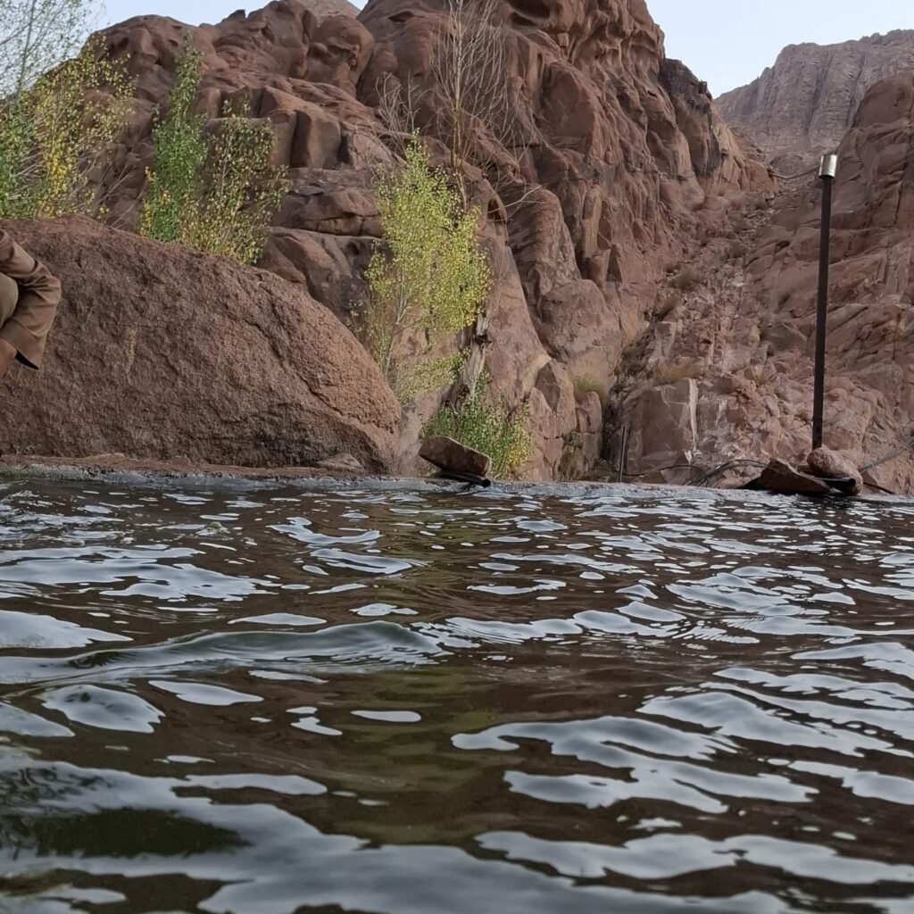 WhatsApp Image 2025-11-17 at 21.26.16_a952a36f