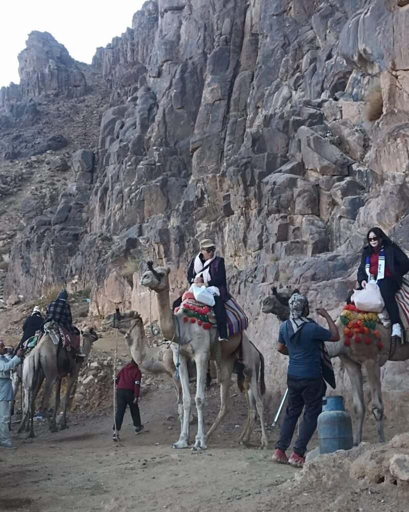 WhatsApp Image 2025-11-17 at 21.27.38_ed9a4856