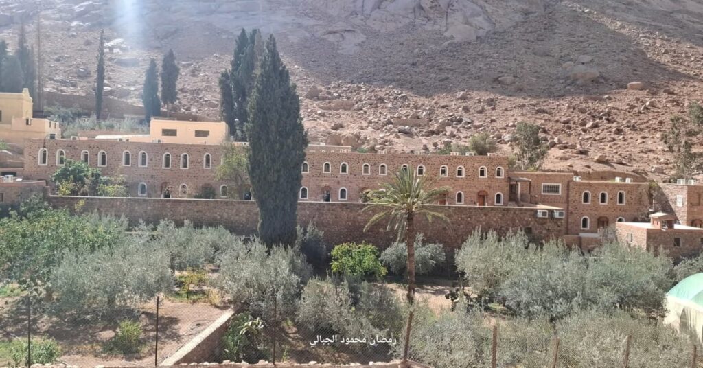 WhatsApp Image 2025-11-17 at 21.27.42_74083fc4