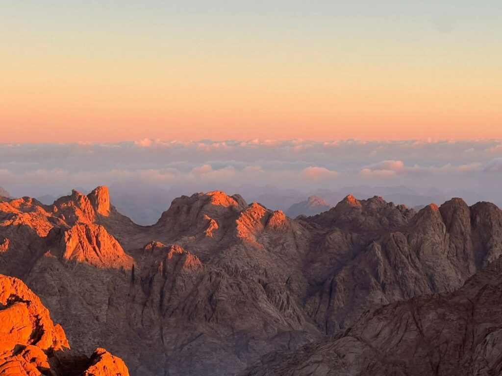 WhatsApp Image 2025-11-17 at 21.27.42_82b89c15