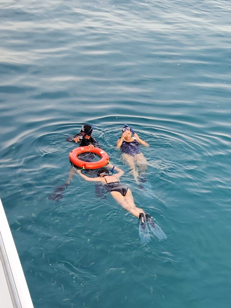 WhatsApp Image 2025-11-28 at 14.21.54_d8806c8a