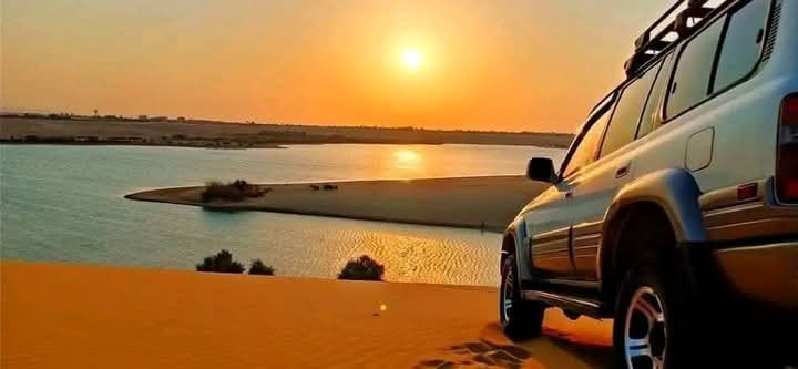 WhatsApp Image 2025-12-11 at 11.47.17_5f6abc88