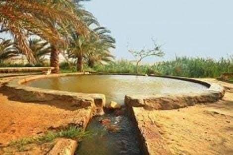 WhatsApp Image 2025-12-12 at 14.43.28_431e0537