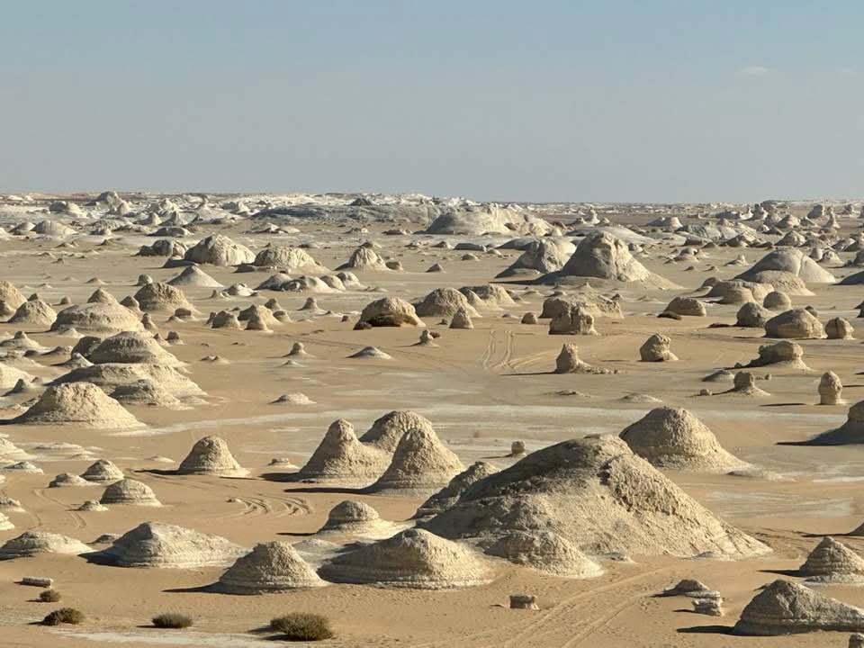 WhatsApp Image 2025-12-12 at 14.44.33_9a9e6392