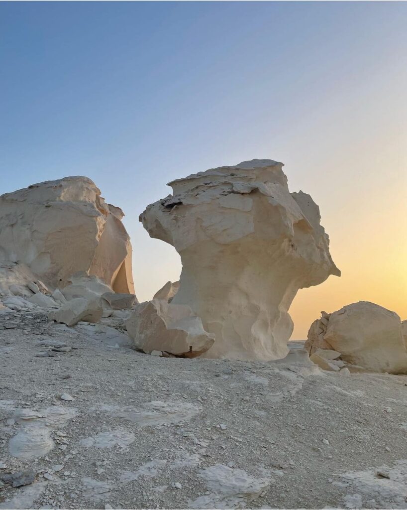 WhatsApp Image 2025-12-12 at 14.58.09_7d65d7d9