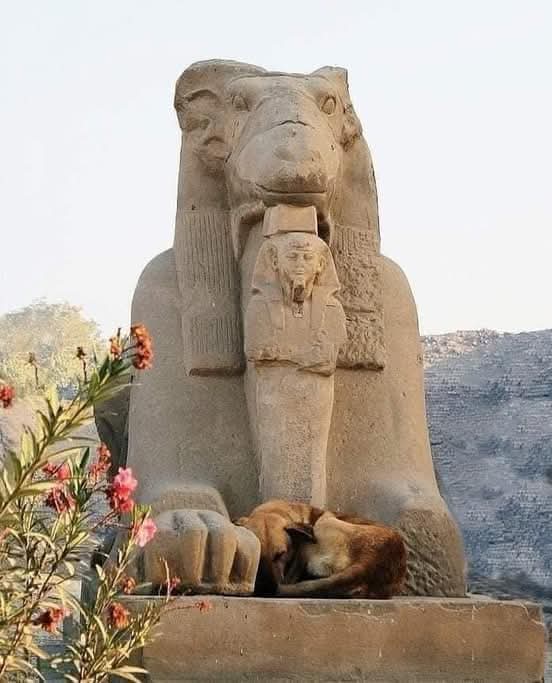 WhatsApp Image 2025-12-12 at 15.41.06_d7d00315