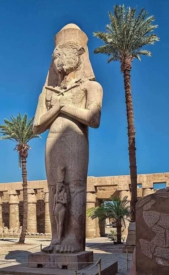 WhatsApp Image 2025-12-12 at 15.41.13_fd1154e3