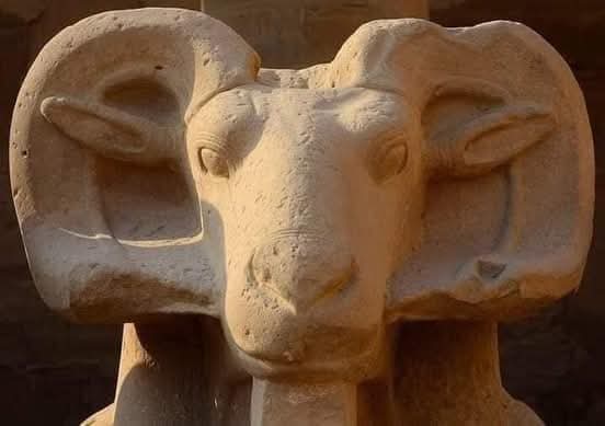 WhatsApp Image 2025-12-12 at 15.41.14_af18d3af