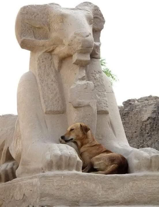 WhatsApp Image 2025-12-12 at 15.41.15_6809735a