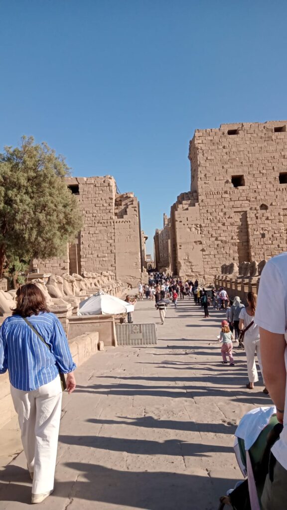 WhatsApp Image 2025-12-20 at 16.02.40_83c1b982