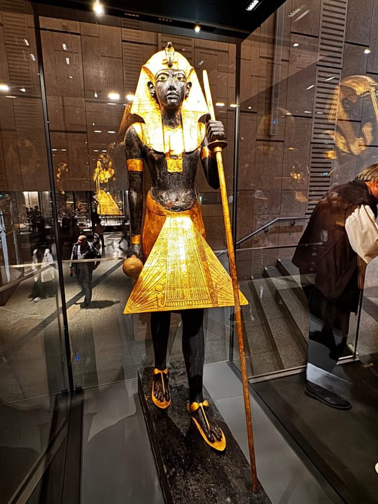 WhatsApp Image 2025-12-22 at 16.49.54_169178e6