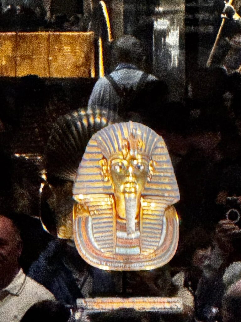 WhatsApp Image 2025-12-22 at 16.49.55_0bbbdd98