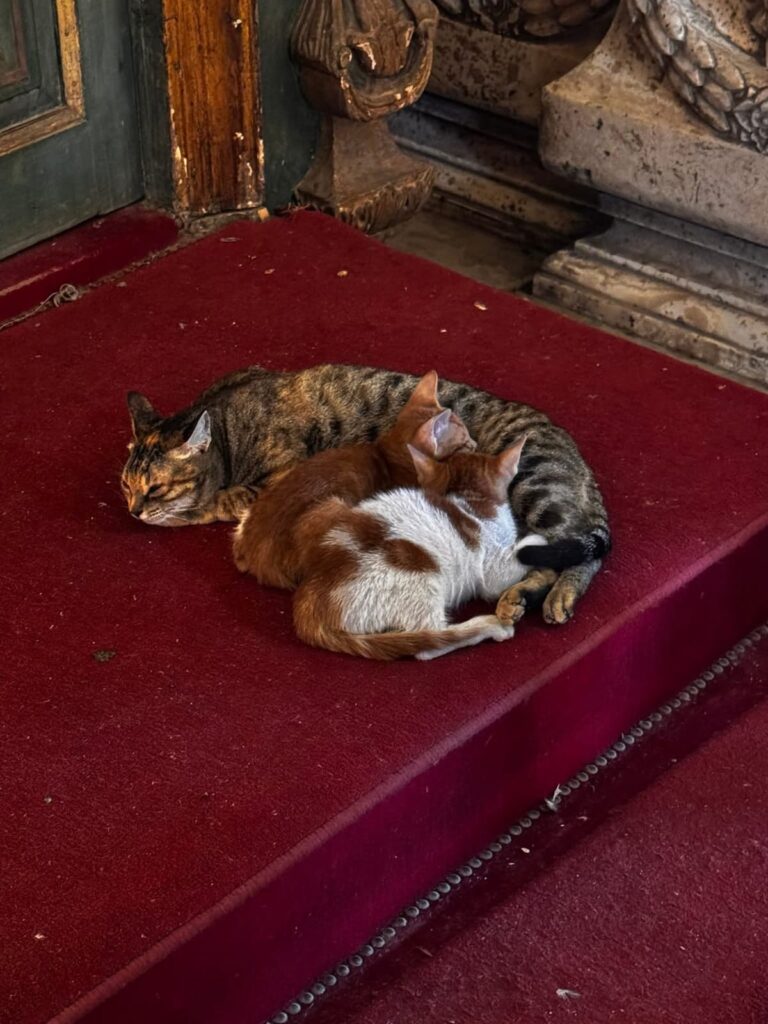 WhatsApp Image 2025-12-22 at 16.50.04_88b9dac3