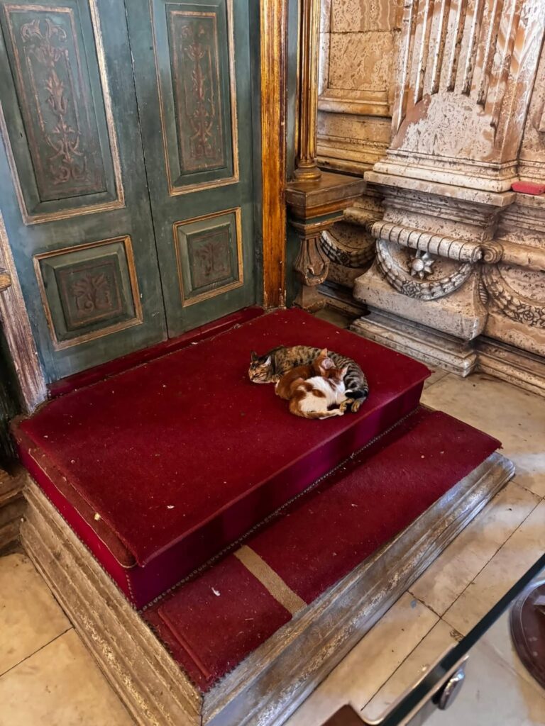 WhatsApp Image 2025-12-22 at 16.50.05_6027ae84